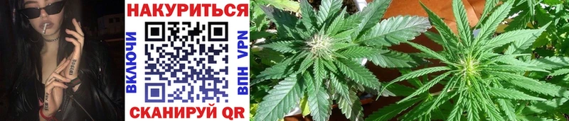 Шишки марихуана THC 21%  купить наркотики цена  Голицыно 